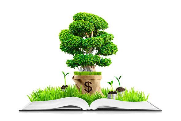 Read more about the article Green vs Carbon accounting – zöld számvitel és karbon elszámolás
